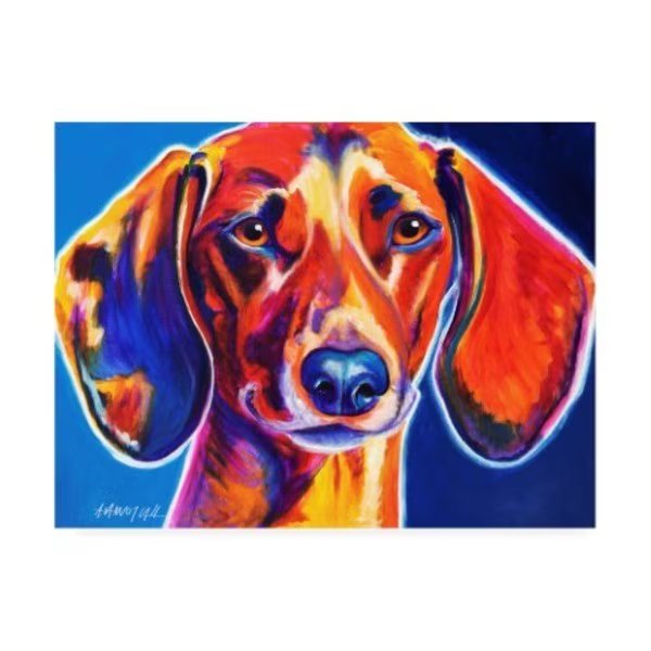 DawgArt 'Dachshund Bubbs' Canvas Art, 35x47, Trademark Fine Art, Mfr#: ALI46798-C3547GG